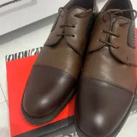 کفش|کیف، کفش، کمربند|بجنورد, |دیوار