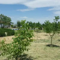 باغ چاه شماره ۲ / ۳۰۰۰ متر|فروش زمین و ملک کلنگی|گلبهار, نوبهار|دیوار