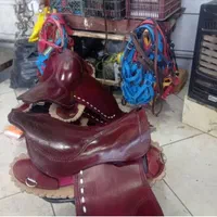 زین اسب وسوارکاری|اسب و تجهیزات اسب‌سواری|رشت, سعدی (تختی)|دیوار