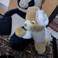 خرس پاندا