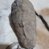 سنگ فسیل|کلکسیون اشیاء عتیقه|کرمانشاه, |دیوار