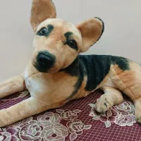 عروسک سگ|اسباب‌‌بازی|تبریز, |دیوار