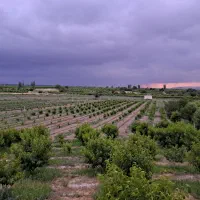 دنبال کارگر میگردم