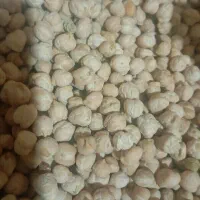 نخود بذر و خوراکی