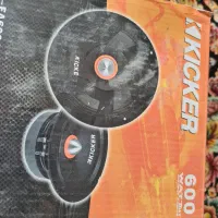 یک جفت میدرنج ۶.۵ کیکر