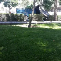 وانت بار