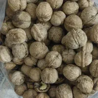 گردو خوش طعم|خوردنی و آشامیدنی|جم, |دیوار