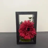 مجسمه گلدان آینه چوب بامبو سطل زباله پایه بوم|مبلمان خانگی و میز عسلی|تهران, حشمتیه|دیوار