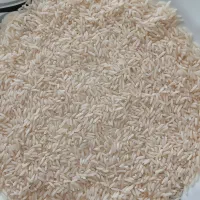 شالی دم سیاه درجه یک|عمده‌فروشی|گنبد کاووس, |دیوار