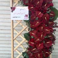 دسته گل بخر هدیه ببر|گل و گیاه طبیعی|تهران, دزاشیب|دیوار