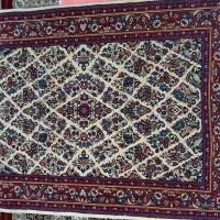 زرع نیم