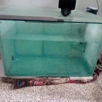 آکواریم های