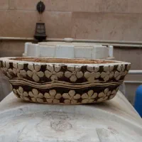 ۱۲عدد. گلدان. حراج. زیر قیمت|گل و گیاه طبیعی|تهران, سلسبیل جنوبی|دیوار