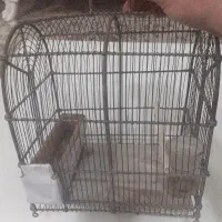 قفس سهره|لوازم جانبی حیوانات|بروجرد, |دیوار