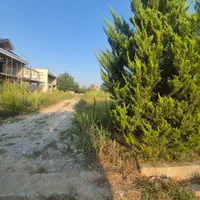 فروش زمین شهرکی|فروش زمین و ملک کلنگی|نشتارود, |دیوار