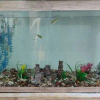 آکواریوم سالم و بزرگ