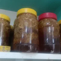 عسل کوهی وحشی ارسال به تمام نقاط کشور|خوردنی و آشامیدنی|فراشبند, |دیوار