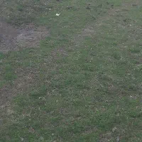 گچ سیاه آذین میانه