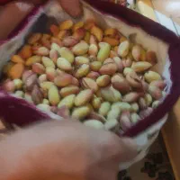 دیگه سوغات شهر تو بی کیفیت نفرست