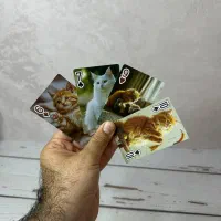 کارت های بازی  طرح دار( پاسور گربه)|کلکسیون و سرگرمی|شیراز, بعثت|دیوار