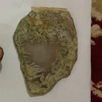 سنگ عتیقه|کلکسیون اشیاء عتیقه|ارسنجان, |دیوار