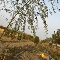 فروش زمین کشاورزی نزدیک شهر