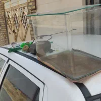 آکواریم به همراه پمپ و وسایل
