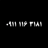 09111163181