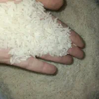 برنج درجه یک هاشمی الموت خوش قیمت خوش پخت خوش عطر|خوردنی و آشامیدنی|محمدیه-قزوین, |دیوار