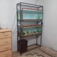 اکواریوم وکلی وسایل|ماهی|ماهدشت, |دیوار