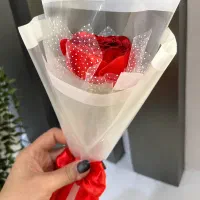 گل رز|گل و گیاه طبیعی|سمنان, |دیوار