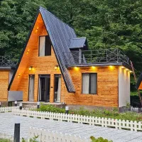 جذب نیروی کار برای محوطه سازی ماسال