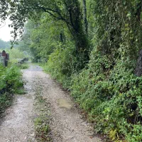 360م قابل ساخت کلبه سوئیسی