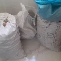 فروش گردوی پوست کاغذی