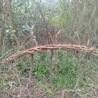 اورجیا سبد بافی|صنایع دستی و سایر لوازم تزئینی|کیاشهر, |دیوار