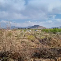 زمین-با-درختان-بادام-مسکن-مهر-فولادشهر