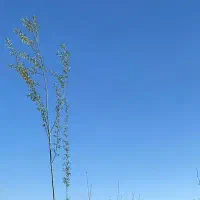 400متر-داخل-بافت