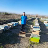 عسل طبیعی دارویی درمانی|خوردنی و آشامیدنی|تهران, ونک|دیوار