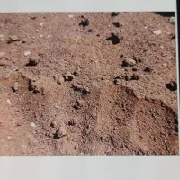 کود پوسیده گونی شده