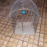 قفس پرنده|لوازم جانبی حیوانات|اصفهان, قهاب جنوبی|دیوار