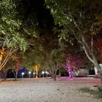اجاره باغ و آلاچیق