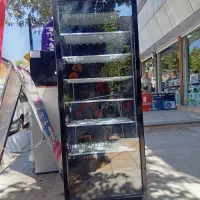 فریزر  ایستاده|یخچال و فریزر|سنندج, |دیوار