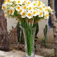 شاخه گل نرگس دکوری|گل مصنوعی|تهران, فلاح|دیوار