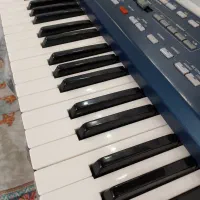 ارگ korg pa800