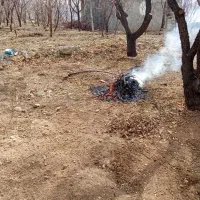خدمات کشاورزی