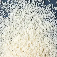 برنج گیلان مازندران/ عمده تناژ/ هاشمی طارم صدری|خوردنی و آشامیدنی|تهران, فلسطین (میدان انقلاب)|دیوار