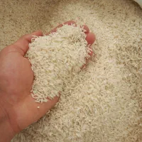 برنج طارم هاشمی امساله تمیز