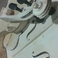 سازگر صالحی پور