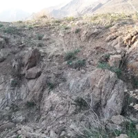 فروش-معدن-سرب