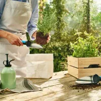 خدمات باغبانی هرس، پاکن، کاشت گل، سمپاشی، کوددهی|خدمات باغبانی و درختکاری|شیراز, قصرالدشت|دیوار